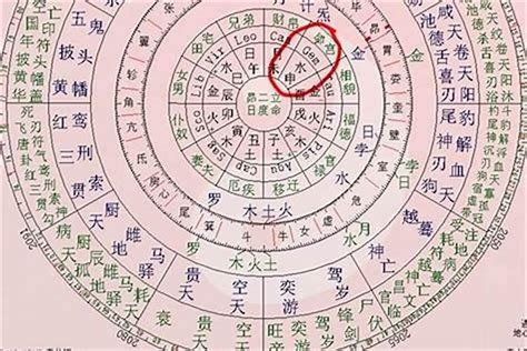 八字 宮位|八字中的命宮